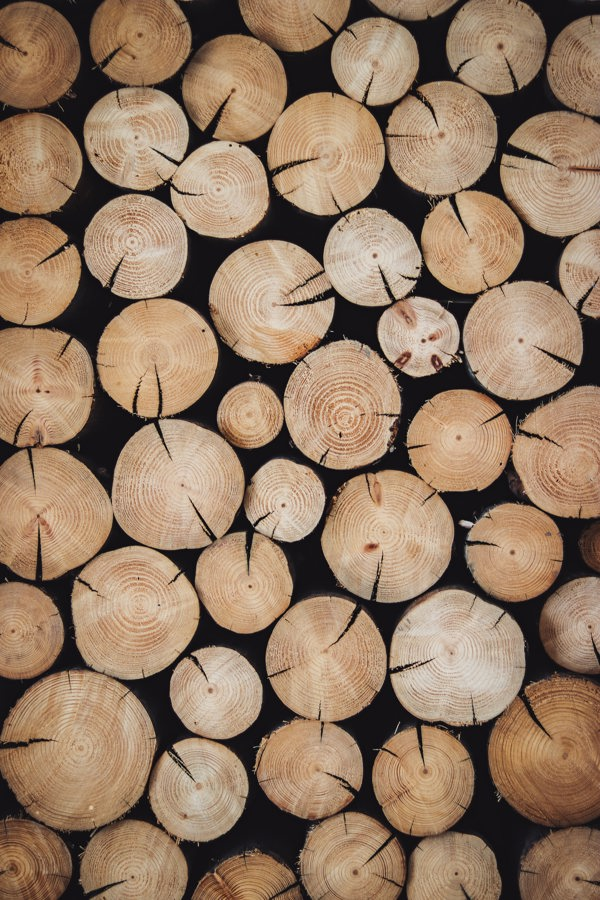 Close up of wood pile. Photo.
