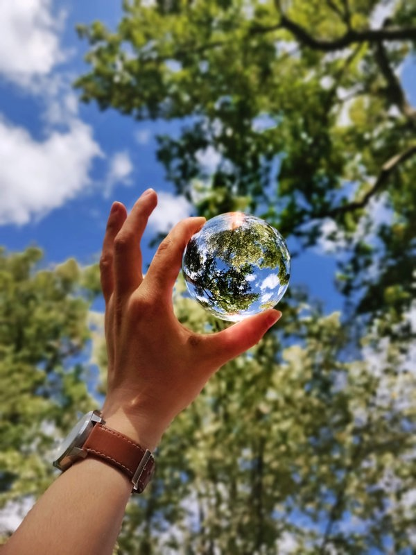 Hand holding glass globe reflecting broadleaved trees in sunny background with blue sky. Photo.