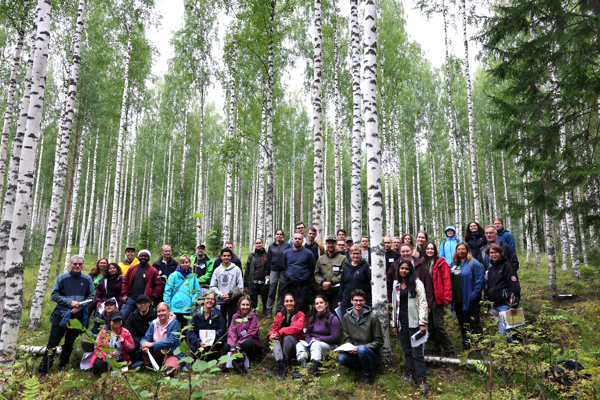 Persons standing in birch forest. Photo.
